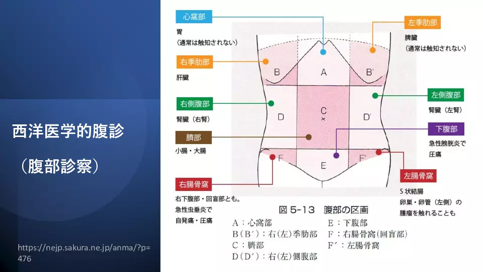 東洋医学へのいざない 診察編⑨ これまでにやった診察法の総まとめ
